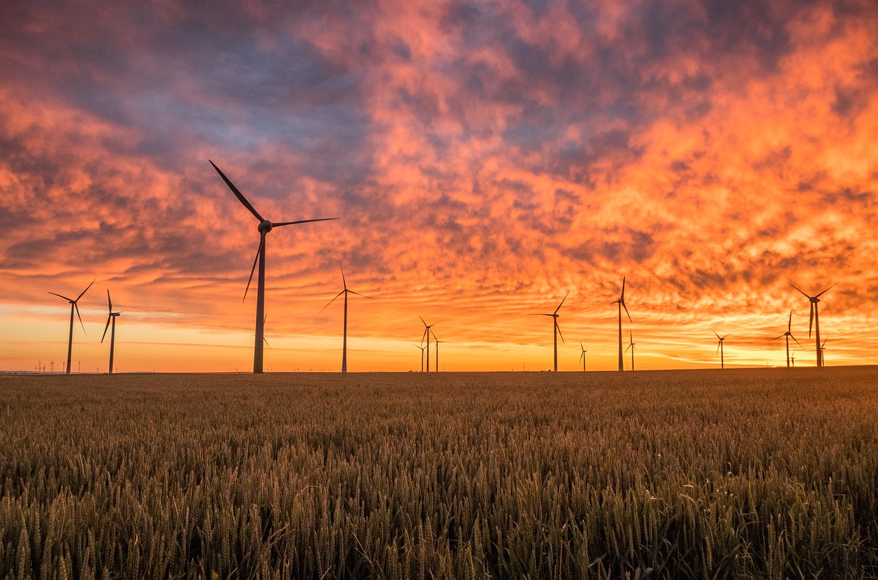 Shaping the Wind Story After COP 30, Why Our Narratives Now Matter as Much as Our Megawatts