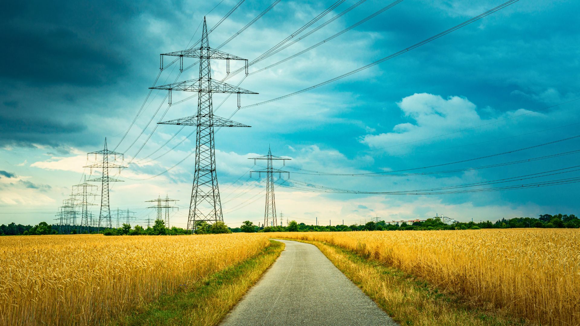 Right of Way and the Language of Trust in India’s Transmission Buildout